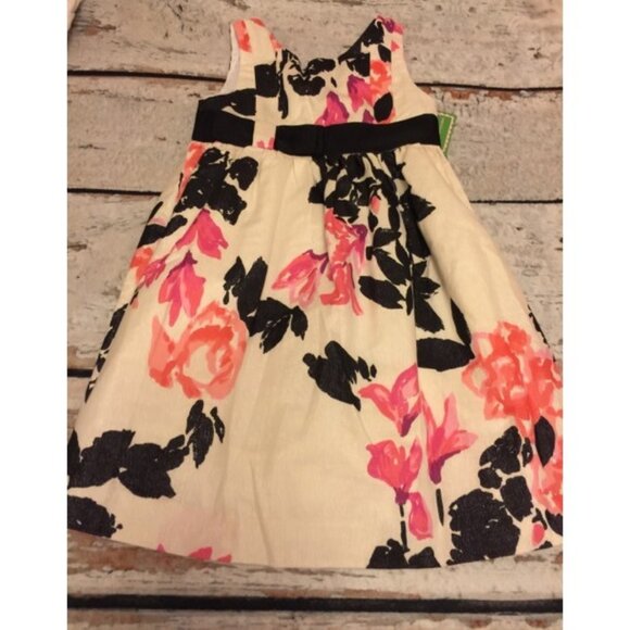 Lilly Pulitzer Stroke Of Midnight Dress NWT